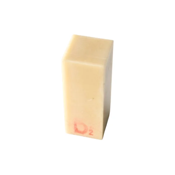 Evodent Bone Craft Practice Model - D2