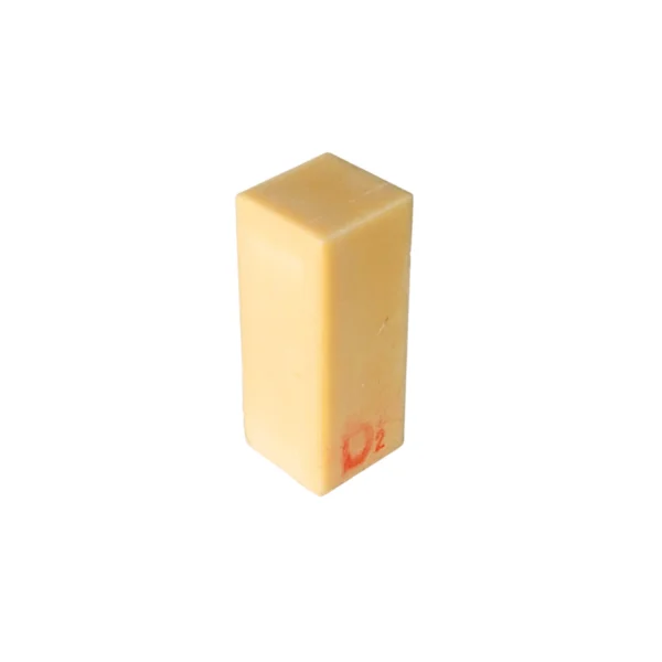 Evodent Bone Craft Practice Model - D2