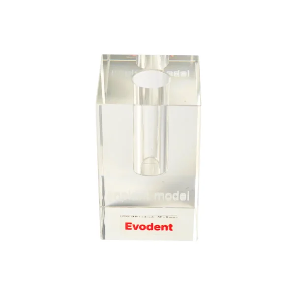 Evodent Implant Display Demonstration Model