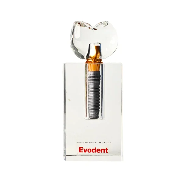 Evodent Implant Display Demonstration Model