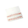 Evodent Atlas Root Canal Replacement Teeth