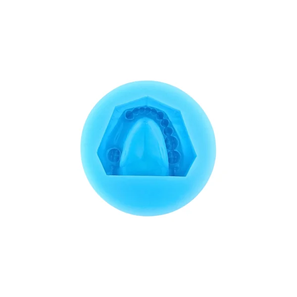 Evodent Partial Dentulous Mold Silicone Plaster Mold, Upper and Lower Jaw