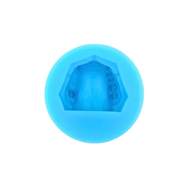 Evodent Partial Dentulous Mold Silicone Plaster Mold, Upper and Lower Jaw