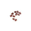 Gc G-Cem Linkforce Adhesive Resin Cement Starter Kit 9 Gc G-Cem Linkforce Adhesive Resin Cement Starter Kit