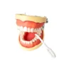 Ecodent Aligner Removing Tool Pack Of 10 4 Ecodent Aligner Removing Tool Pack Of 10