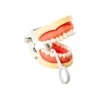 Ecodent Aligner Removing Tool Pack Of 10 3 Ecodent Aligner Removing Tool Pack Of 10